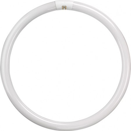 T5 Circular Tube - 22W - Cool White